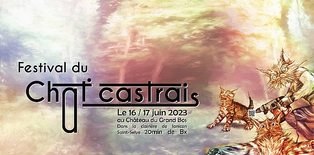 Festival du Chat Castrais